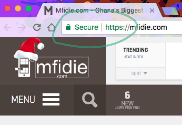 Online Security: Ensuring your security and safety on webpages you visit
