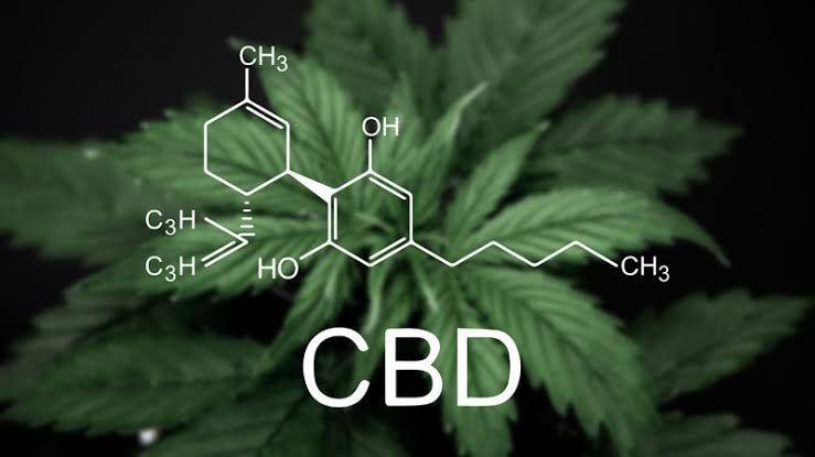 A Guide to Choosing the Right Strength of CBD Oil