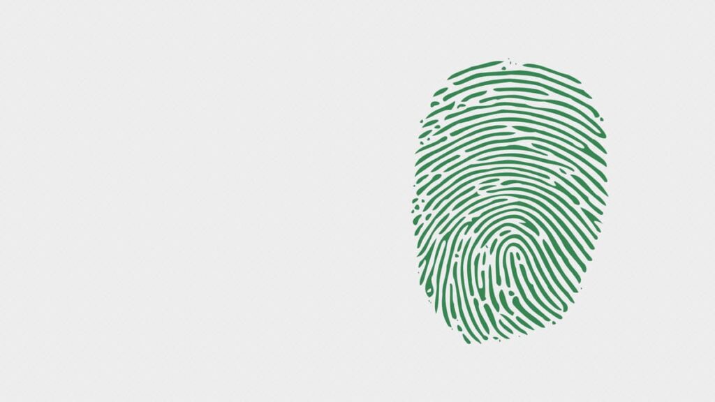 How to Check & Verify BVN Details Online & Offline in Nigeria