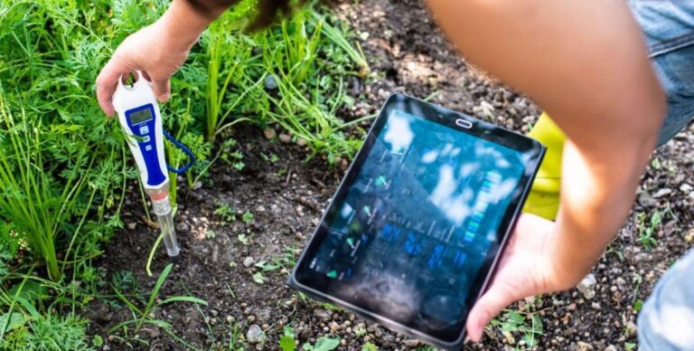 Startups Improving Soil Health with Tech and Science