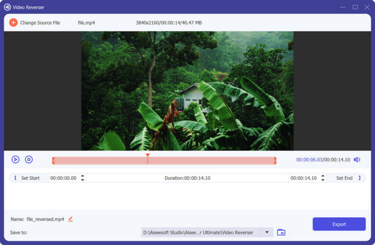 [Solved] How can I Put a Video in Reverse