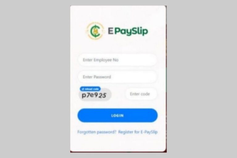 How to Access and Check Your E-payslip Online in Ghana