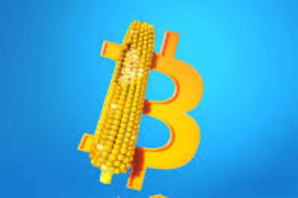 Why is Bitcoin Called Corn?